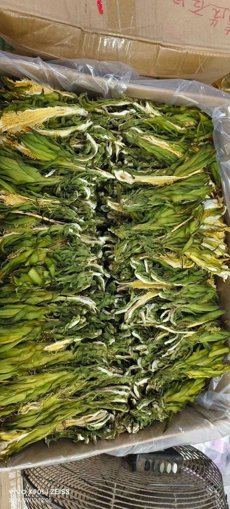 【实力推荐】鲜干霸王花、剑花产地直发可视频看货对接全国