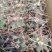 江守玉仙人球实生开花强刺形状好看家居办公防辐射多肉盆栽