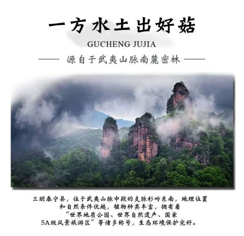 野生红菇干货汤头特甜特嫩红椎菌干磨菇产地批发