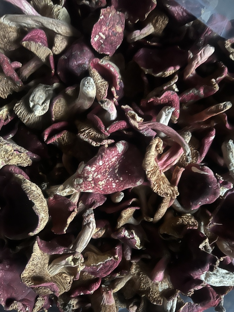野生红菇干货汤头特甜特嫩红椎菌干磨菇产地批发