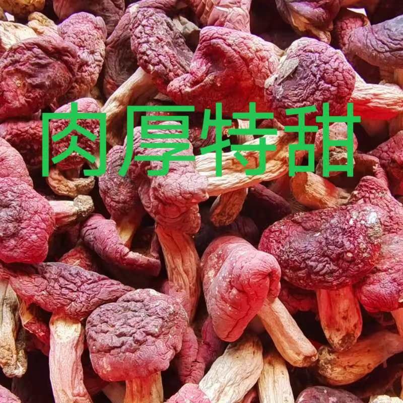 野生红菇干货汤头特甜特嫩红椎菌干磨菇产地批发