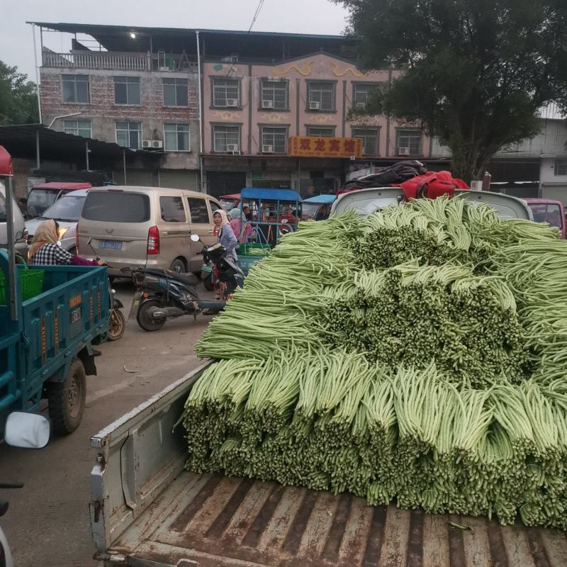 大量供应豆角