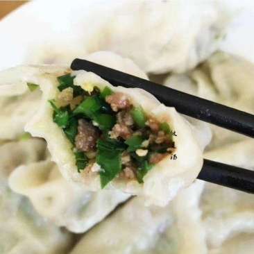 手工肉丁水饺鲅鱼水饺韭菜肉丁虾仁水饺全国招商