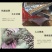 小白嘴山药豆，产地直供，香甜软糯，颗粒均匀。营养美味。