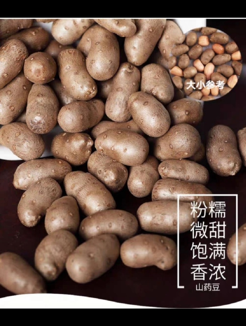 小白嘴山药豆，产地直供，香甜软糯，颗粒均匀。营养美味。