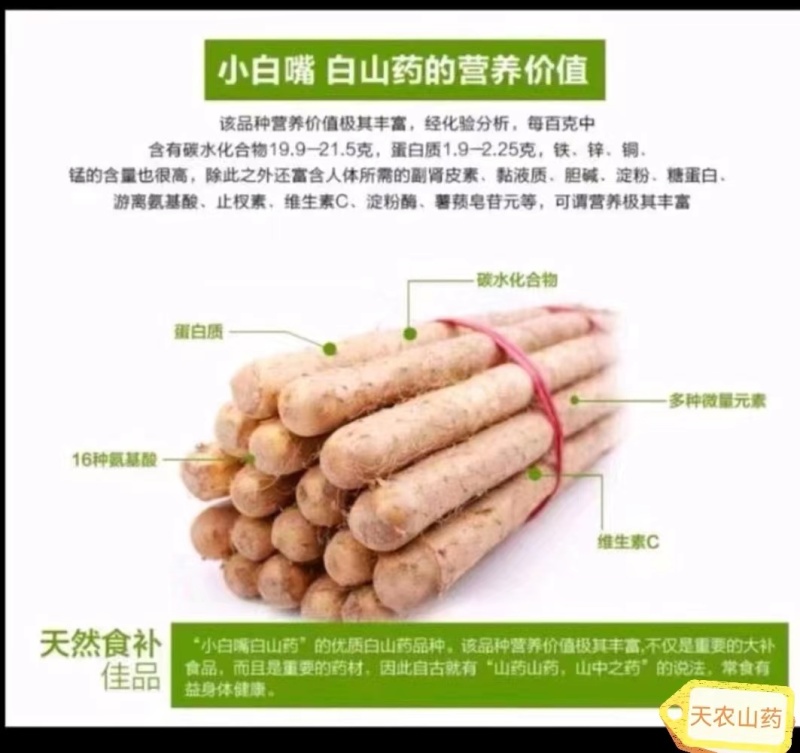 小白嘴山药豆，产地直供，香甜软糯，颗粒均匀。营养美味。