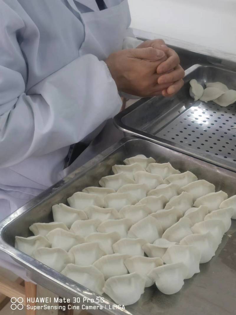 手工肉丁水饺鲅鱼水饺韭菜肉丁虾仁水饺全国招商