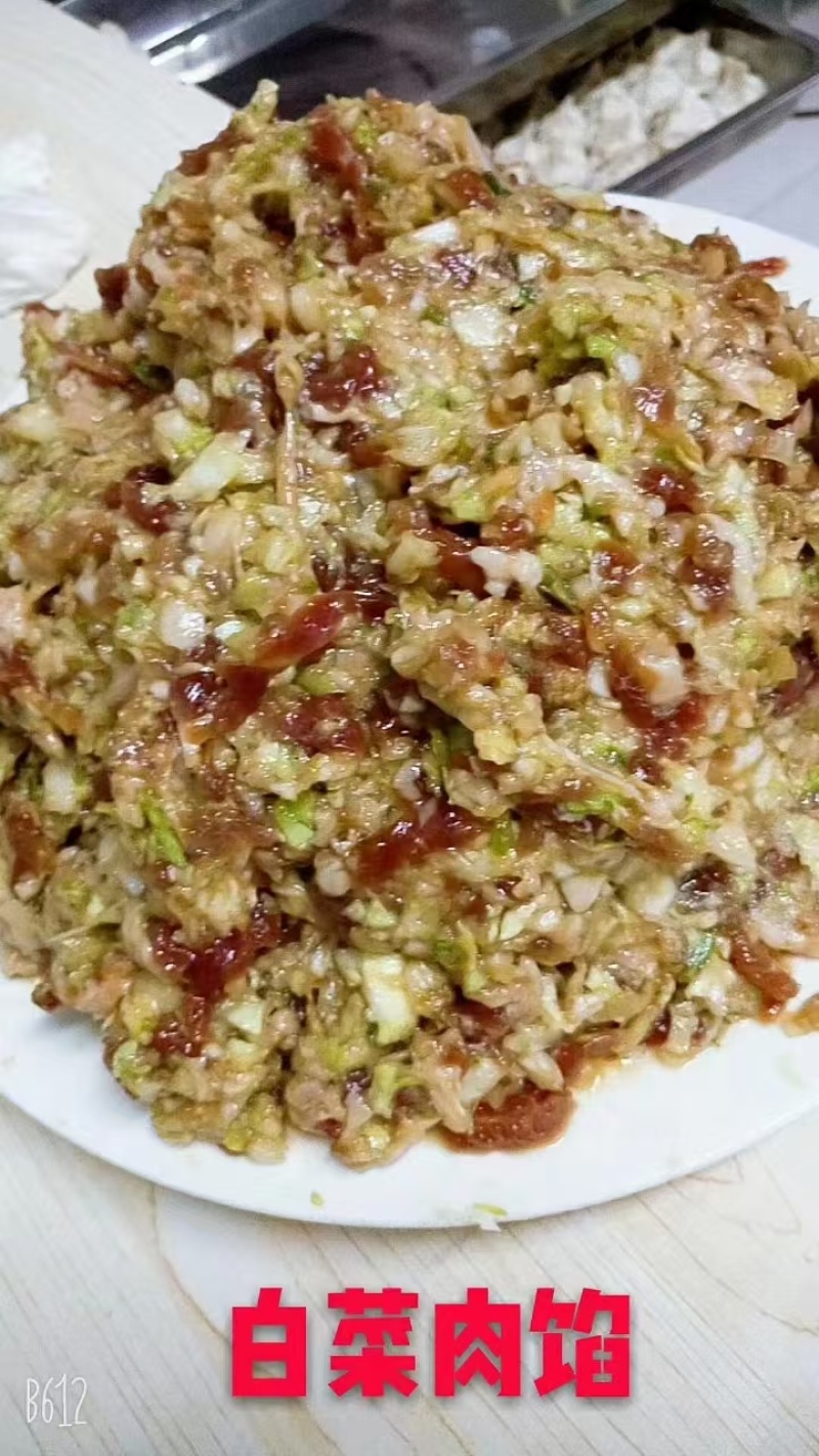 手工肉丁水饺鲅鱼水饺韭菜肉丁虾仁水饺全国招商