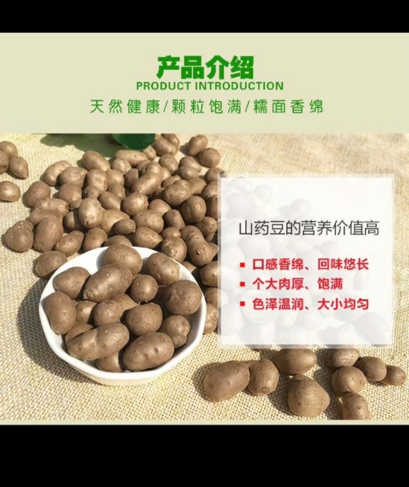 《产地直供》精选优质小白嘴山药豆上对接商超酒店电商团购
