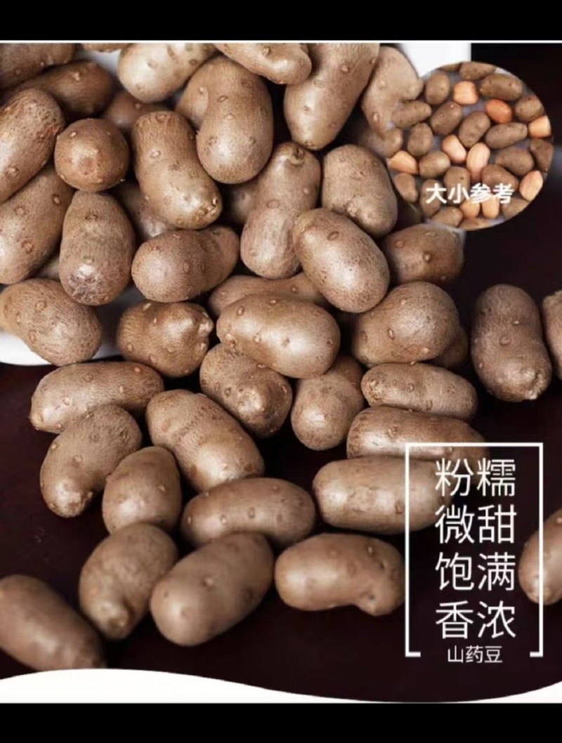 《产地直供》精选优质小白嘴山药豆上对接商超酒店电商团购
