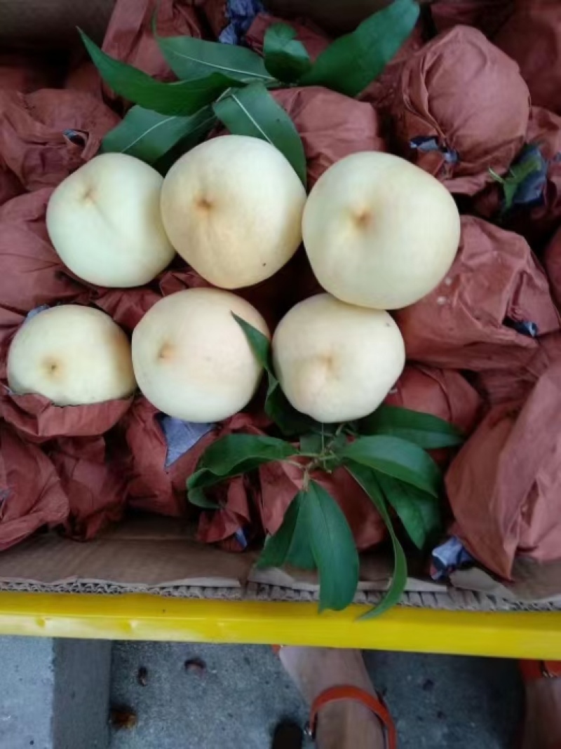 又香又甜又脆的白桃，