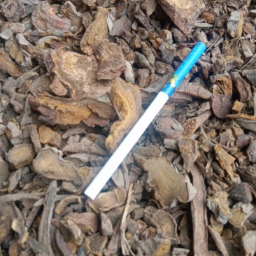 大黄水根片。