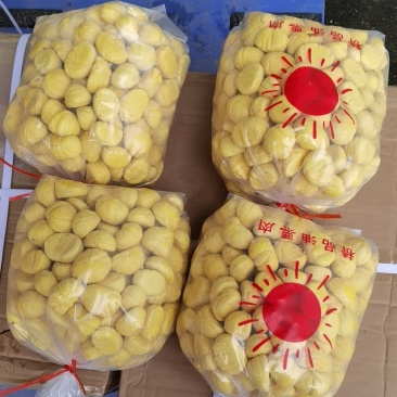 精选板栗米板栗肉板栗仁真空包装米
