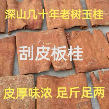 【无硫】广西板桂厚桂板产地直供货源充足欢迎咨询