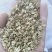 白芷种子祁白芷籽兴安白芷一年生药材种子春秋播种