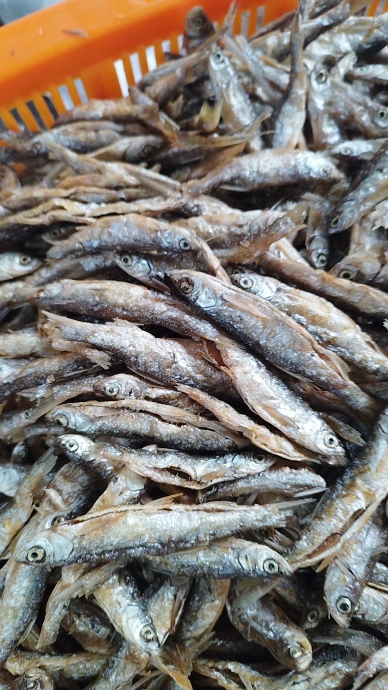 江西油炸小刁子鱼，对接全国市场，支持视频看货