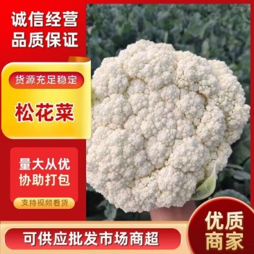 邯郸精品菜花，松花菜大量供应，产地直发，货源充足，量大。