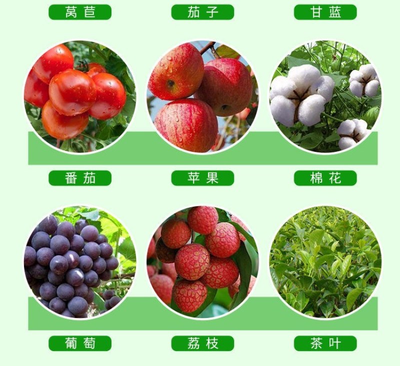 5%虱螨脲杀幼虫杀虫卵正品批发菜青虫甜菜夜蛾食心虫螟虫