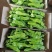 费县精品薄皮椒苏椒芜湖椒大量上市对接电商市场团购全国发货