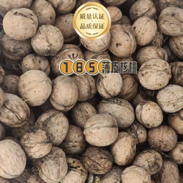 新疆纸皮185薄皮核桃资源充足供应稳定支持社区团购整车