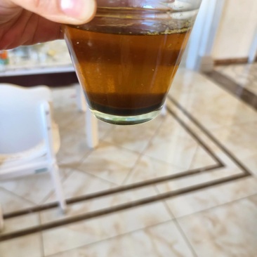 高芥酸油菜籽