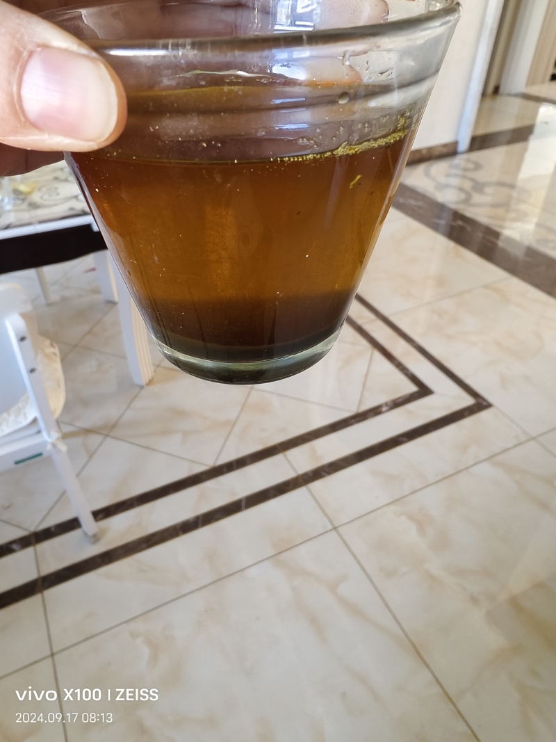 高芥酸油菜籽