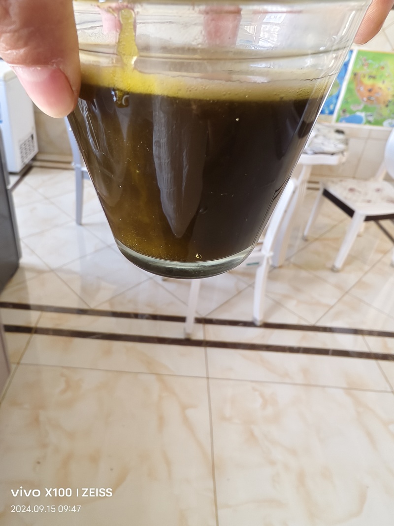 高芥酸油菜籽