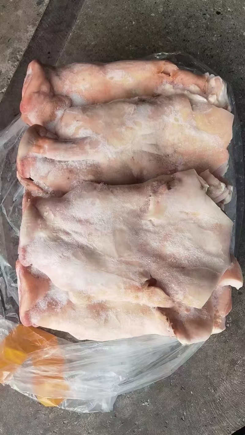 猪头