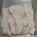 猪头