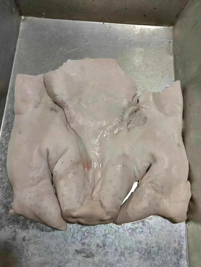 猪头