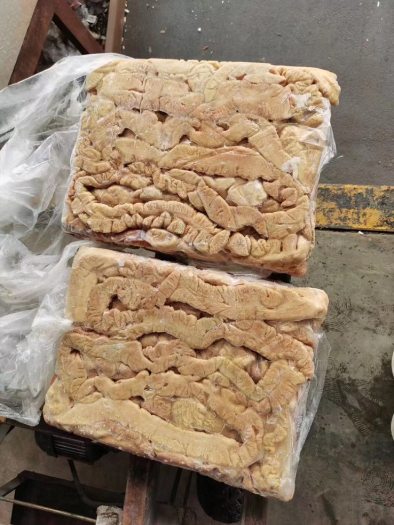 原色预煮大肠，干货厂家直供，量大价格可谈