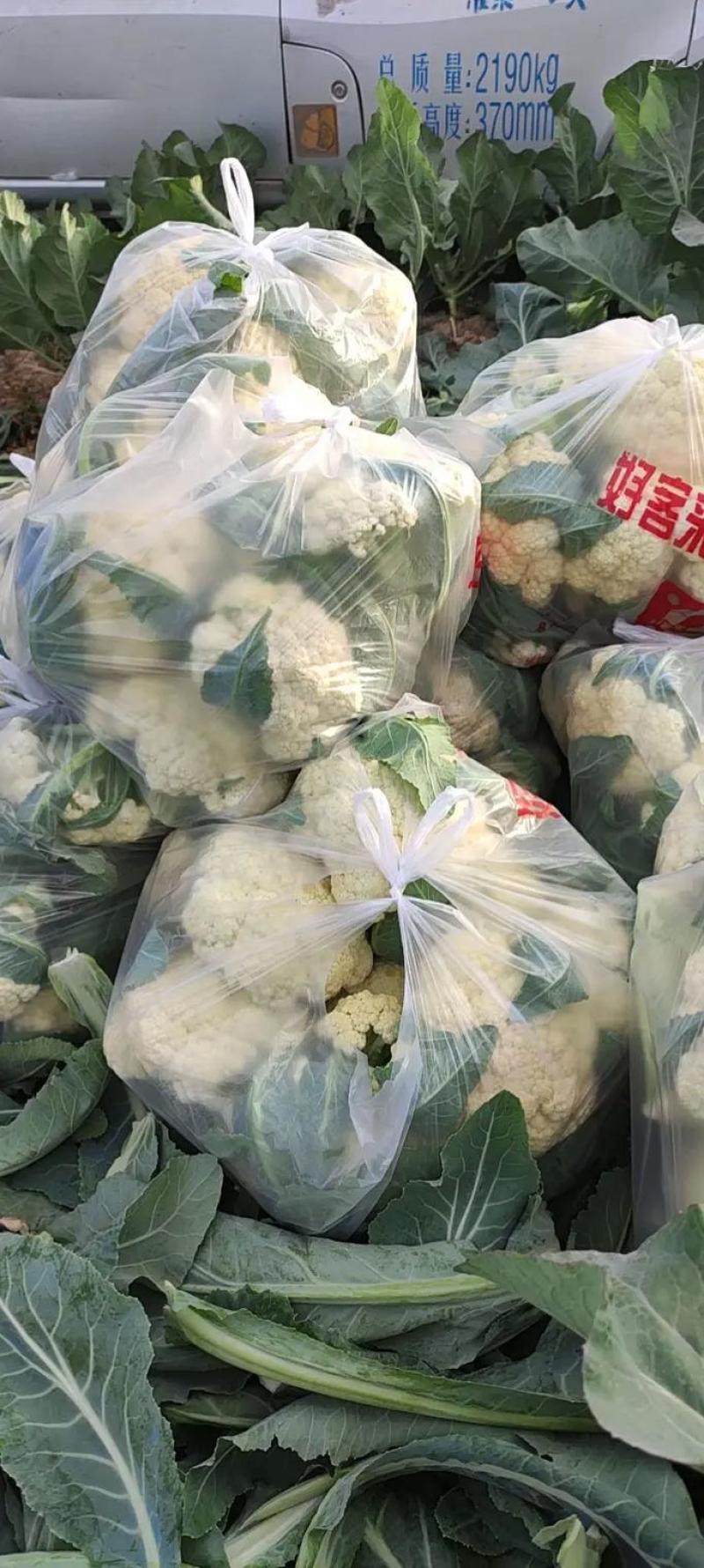 精品菜花松花菜产地直达一手货源供应电商市场超市