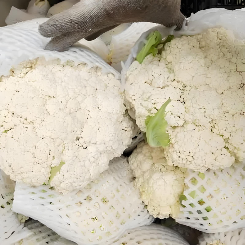 精品菜花松花菜产地直达一手货源供应电商市场超市