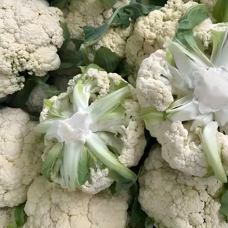 精品菜花松花菜产地直达一手货源供应电商市场超市