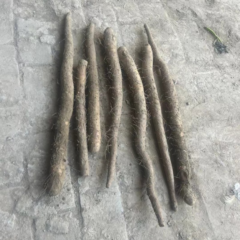 保定河北麻山药，紫药**电商平台！大型超市！