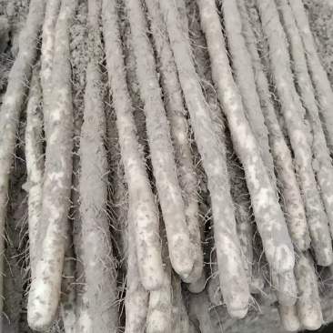 小白嘴山药产地直发一手货源量大质优规格齐全