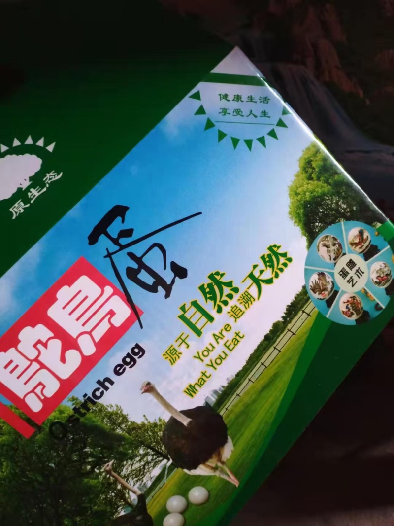 礼盒装鸵鸟蛋鸸鹋蛋孔雀蛋大雁蛋等新鲜现捡标价为非洲鸵鸟蛋