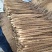 精品榆林铁棍山药新货大量出货欢迎老板联系我