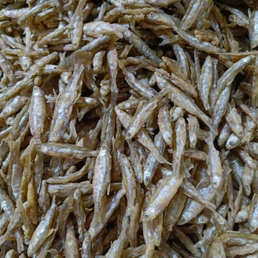 面粉鱼