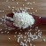 50斤批发价新炒熟脱皮白芝麻仁现炒原味烘焙原料新鲜白芝麻
