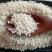 50斤批发价新炒熟脱皮白芝麻仁现炒原味烘焙原料新鲜白芝麻