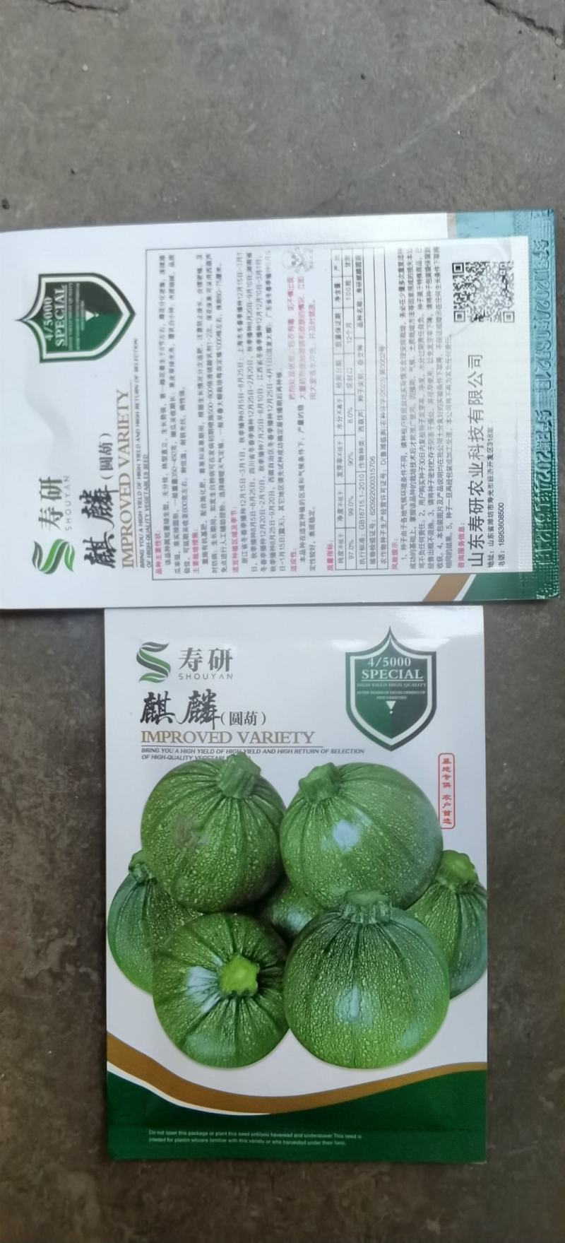 圆西葫芦种子麒麟早熟节节有瓜油亮硬度好产量高抗病