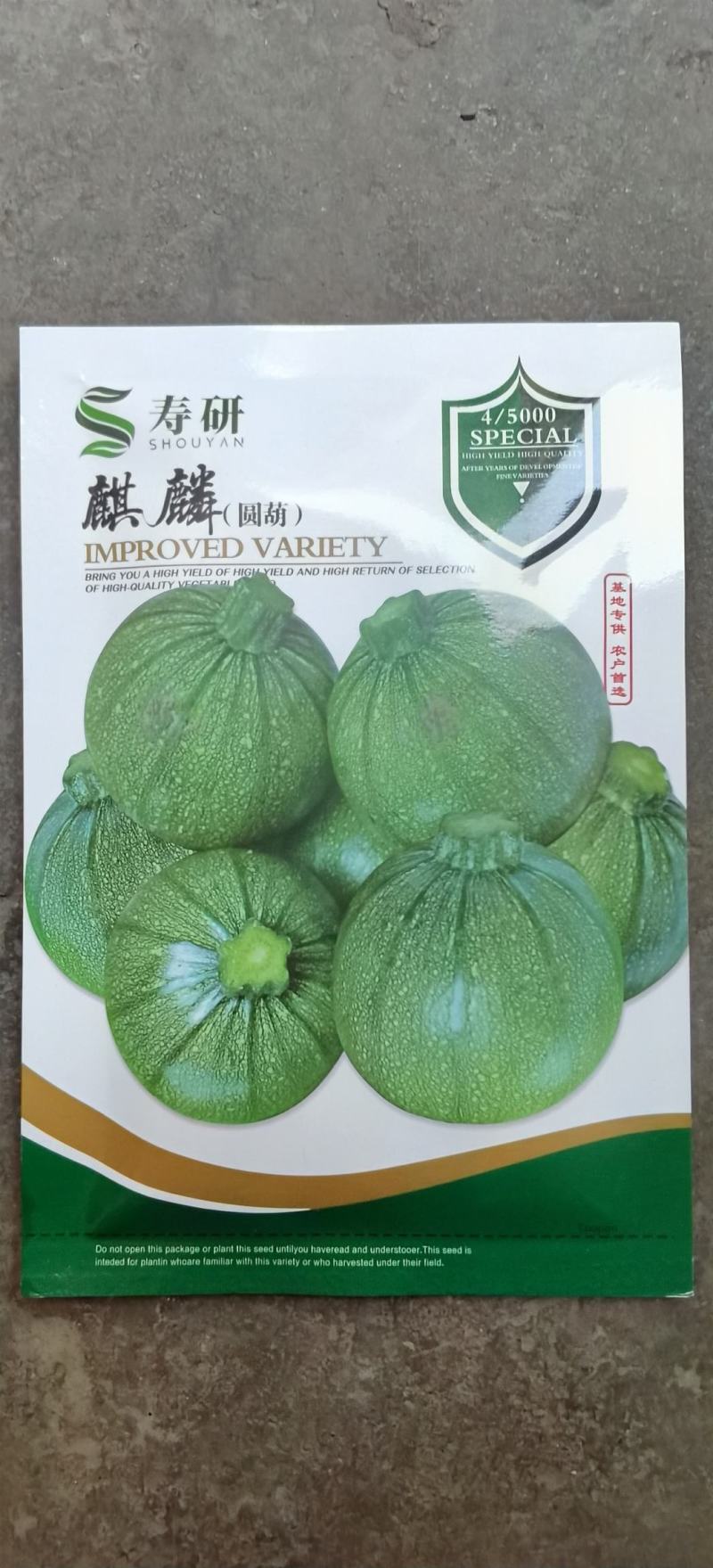 圆西葫芦种子麒麟早熟节节有瓜油亮硬度好产量高抗病