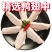 【冷链直达】新鲜鸭翅中活杀鸭翅卤肉油煎烧烤食材冷冻食品批