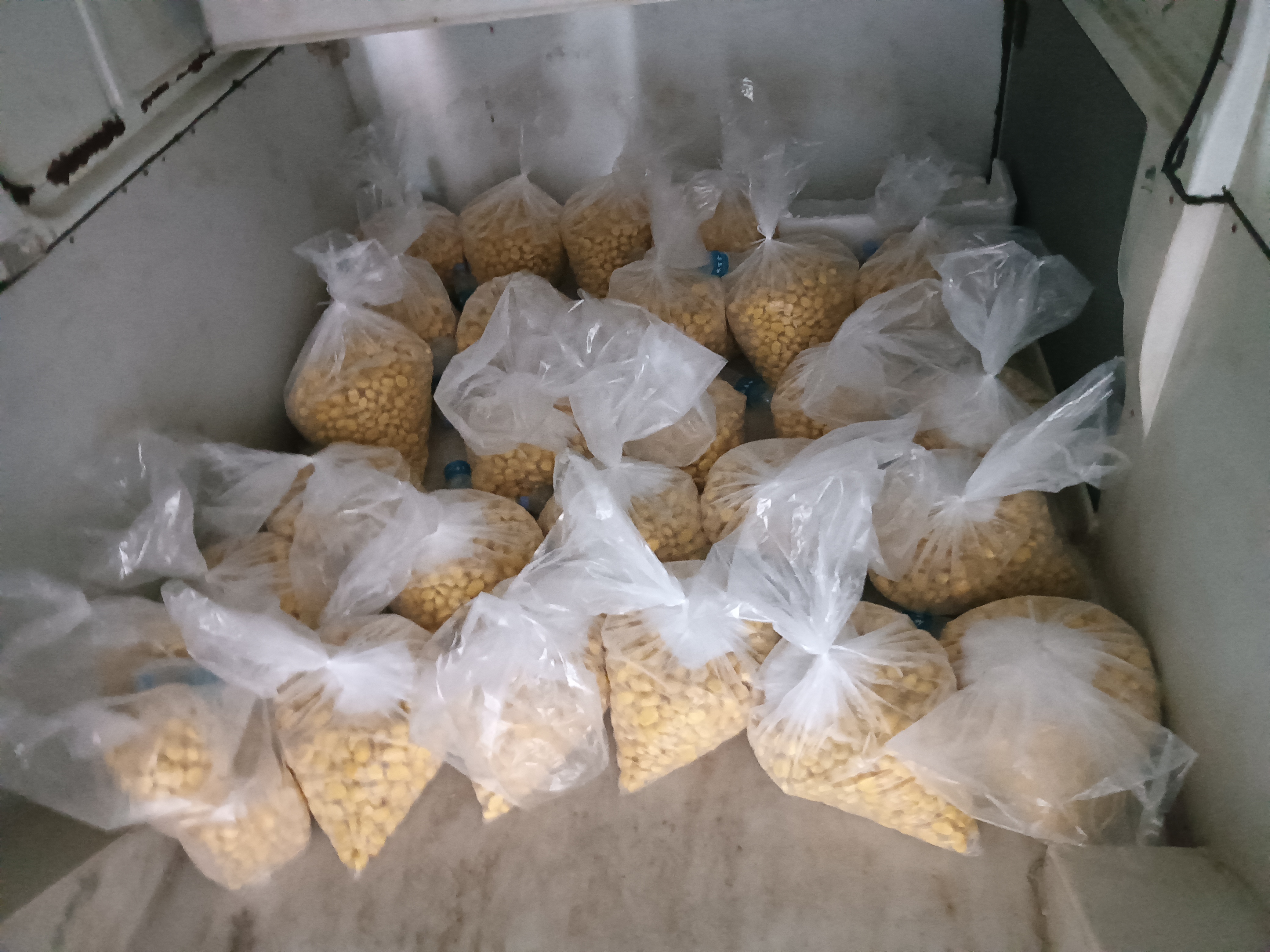 栗子分装后放入冰箱冷冻保存