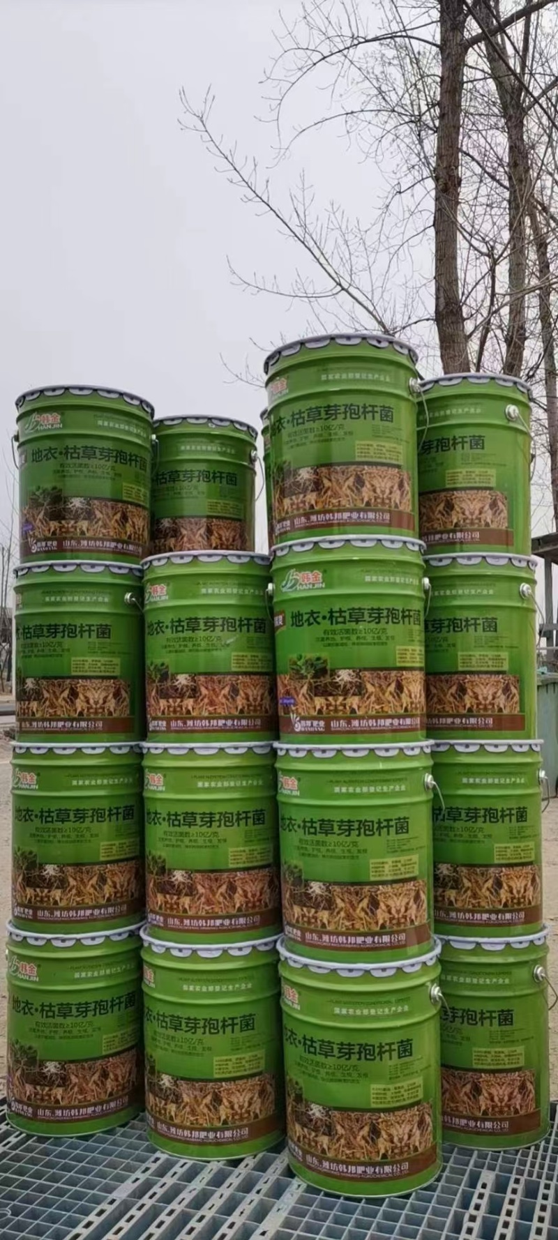 根达康根腐病用灌根药枯草地衣芽孢杆菌土壤病害高效正品
