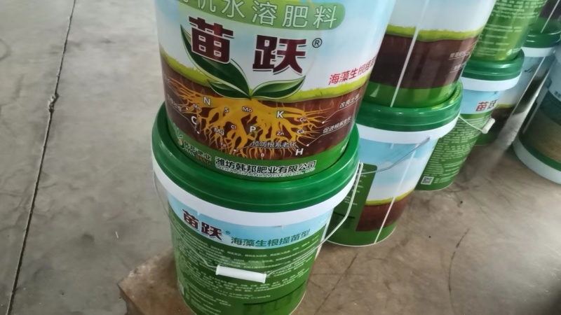 根达康根腐病用灌根药枯草地衣芽孢杆菌土壤病害高效正品