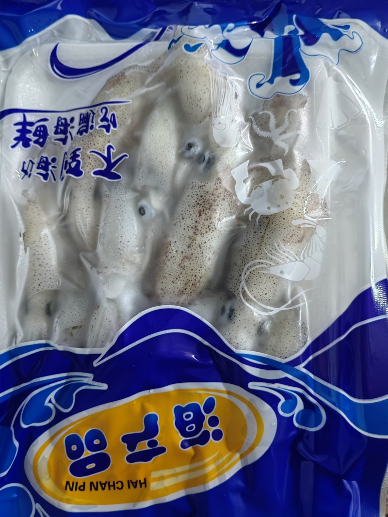 墨斗鱼