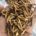 九节菖蒲水洗货选关书药业批发中药材