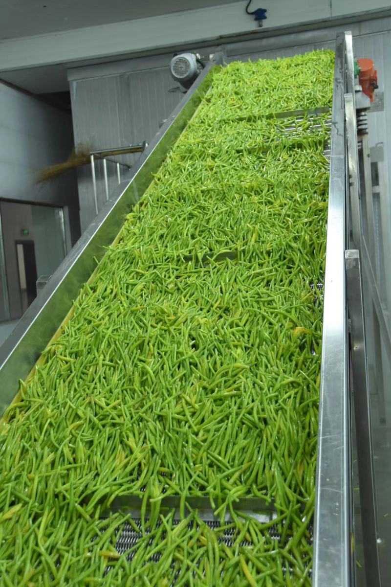 精品速冻黄花菜厂家直发供应电商市场商超